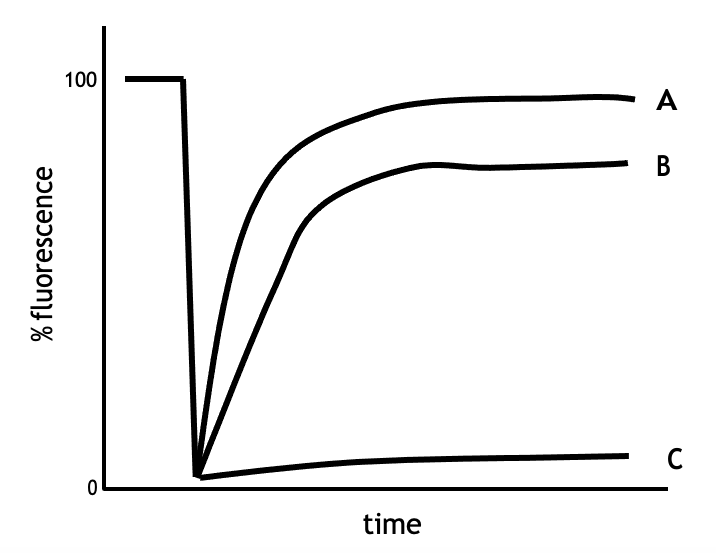 100
A
В
time
% fluorescence
