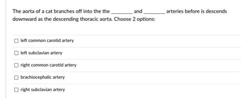 The aorta of a cat branches off into the the and
arteries before is descends
downward as the descending thoracic aorta. Choose 2 options:
O left common carotid artery
O left subclavian artery
O right common carotid artery
O brachiocephalic artery
O right subclavian artery
