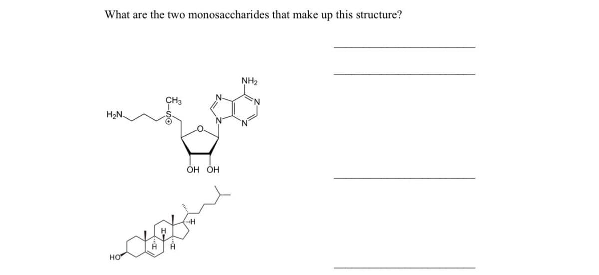 What are the two monosaccharides that make up this structure?
H₂N
НО
H
CH₂
-do
H
Н
OH OH
NH₂