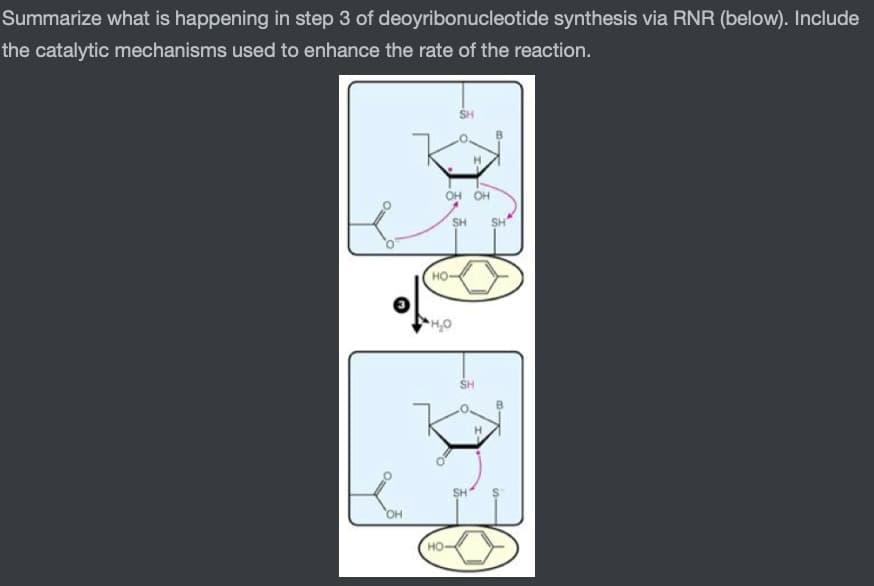 Summarize what is happening in step 3 of deoyribonucleotide synthesis via RNR (below). Include
the catalytic mechanisms used to enhance the rate of the reaction.
OH
OH OH
SH
HO-
HO
H₂O
SH
SH
-co