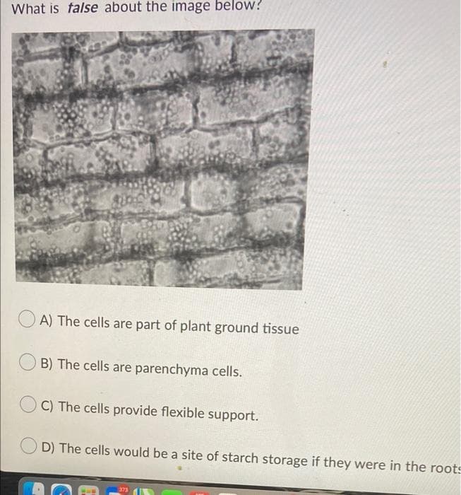 What is false about the image below?
A) The cells are part of plant ground tissue
B) The cells are parenchyma cells.
C) The cells provide flexible support.
D) The cells would be a site of starch storage if they were in the roots
373
