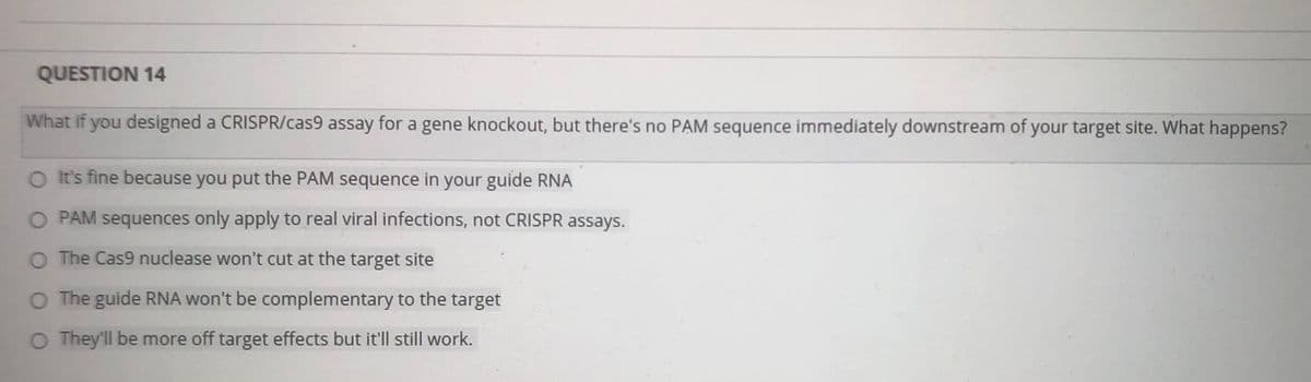 QUESTION 14
What if you designed a CRISPR/cas9 assay for a gene knockout, but there's no PAM sequence immediately downstream of your target site. What happens?
O It's fine because you put the PAM sequence in your guide RNA
O PAM sequences only apply to real viral infections, not CRISPR assays.
O The Cas9 nuclease won't cut at the target site
O The guide RNA won't be complementary to the target
O They'll be more off target effects but it'll still work.
