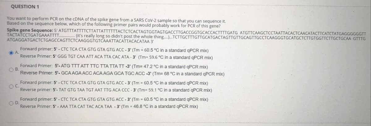 QUESTION 1
You want to perform PCR on the CDNA of the spike gene from a SARS CoV-2 sample so that you can sequence it.
Based on the sequence below, which of the following primer pairs would probably work for PCR of this gene?
Spike gene Sequence: 5' ATGTTTATTTTCTTATTATTTTTTACTCTCACTAGTGGTAGTGACCTTGACCGGTGCACCACTTTTGATG ATGTTCAAGCTCCTAATTACACTCAACATACTTCATCTATGAGGGGGGTT
TACTATCCTGATGAAATTTT. .. (it's really long so didn't post the whole thing.).TCTTGCTTTGTTGCATGACTAGTTGTTGCAGTTGCCTCAAGGGTGCATGCTCTTGTGGTTCTTGCTGCAA GTTTG
ATGAGGATGACTCTGAGCCAGTTCTCAAGGGTGTCAAATTACATTACACATAA 3'
Forward primer: 5' - CTC TCA CTA GTG GTA GTG ACC - 3' (Tm = 60.5 °C in a standard qPCR mix)
Reverse Primer: 5' GGG TGT CAA ATT ACA TTA CAC ATA - 3' (Tm= 59.6 °C in a standard QPCR mix)
Forward Primer: 5'- ATG TTT ATT TTC TTA TTA TT -3' (Tm=D 47.2 °C in a standard qPCR mix)
Reverse Primer: 5'- GCA AGA ACC ACA AGA GCA TGC ACC -3' (Tm= 68 °C in a standard qPCR mix)
Forward primer: 5' - CTC TCA CTA GTG GTA GTG ACC -3' (Tm = 60.5 °C in a standard qPCR mix)
OC.
Reverse primer: 5'- TAT GTG TAA TGT AAT TTG ACA CCC - 3' (Tm= 59.1 °C in a standard qPCR mix)
Forward primer: 5' - CTC TCA CTA GTG GTA GTG ACC - 3' (Tm = 60.5 °C in a standard qPCR mix)
OD.
Reverse Primer: 5' - AAA TTA CAT TAC ACA TAA - 3' (Tm = 46.8 °C in a standard qPCR mix)
