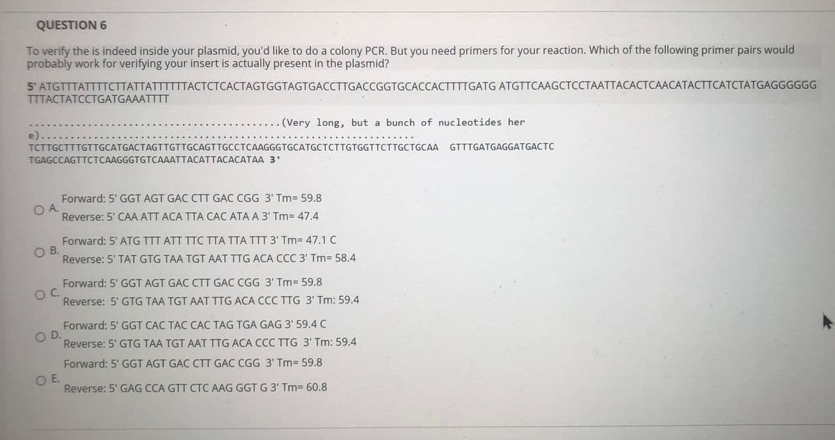 QUESTION 6
To verify the is indeed inside your plasmid, you'd like to do a colony PCR. But you need primers for your reaction. Which of the following primer pairs would
probably work for verifying your insert is actually present in the plasmid?
5' ATGTTTATTTTCTTATTATTTTTTACTCTCACTAGTGGTAGTGACCTTGACCGGTGCACCACTTTTGATG ATGTTCAAGCTCCTAATTACACTCAACATACTTCATCTATGAGGGGGG
TTTACTATCCTGATGAAATTTT
(Very long, but a bunch of nucleotides her
e)....
TCTTGCTTTGTTGCATGACTAGTTGTTGCAGTTGCCTCAAGGGTGCATGCTCTTGTGGTTCTTGCTGCAA GTTTGATGAGGATGACTC
TGAGCCAGTTCTCAAGGGTGTCAAATTACATTACACATAA 3'
Forward: 5' GGT AGT GAC CTT GAC CGG 3' Tm= 59.8
O A.
Reverse: 5' CAA ATT ACA TTA CAC ATA A 3' Tm= 47.4
Forward: 5' ATG TTT ATT TTC TTA TTA TTT 3' Tm= 47.1 C
O B.
Reverse: 5' TAT GTG TAA TGT AAT TTG ACA CCC 3' Tm3 58.4
Forward: 5' GGT AGT GAC CTT GAC CGG 3' Tm3 59.8
OC.
Reverse: 5' GTG TAA TGT AAT TTG ACA CCC TTG 3' Tm: 59.4
Forward: 5' GGT CAC TAC CAC TAG TGA GAG 3' 59.4 C
O D.
Reverse: 5' GTG TAA TGT AAT TTG ACA CCC TTG 3' Tm: 59.4
Forward: 5' GGT AGT GAC CTT GAC CGG 3' Tm= 59.8
OE.
Reverse: 5' GAG CCA GTT CTC AAG GGT G 3' Tm= 60.8
