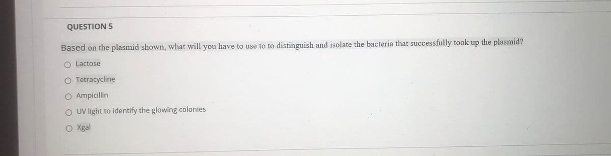 QUESTION 5
Based on the plasmid shown, what will you have to use to to distinguish and isolate the bacteria that successfully took up the plasmid?
O Lactose
O Tetracycline
O Ampicillin
O UV light to identify the glowing colonies
O Xgal
