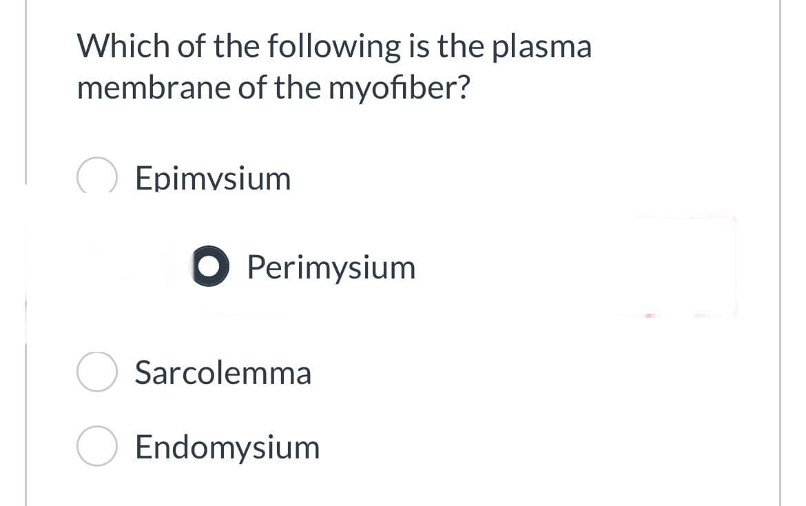 Which of the following is the plasma
membrane of the myofiber?
Epimysium
Perimysium
Sarcolemma
Endomysium