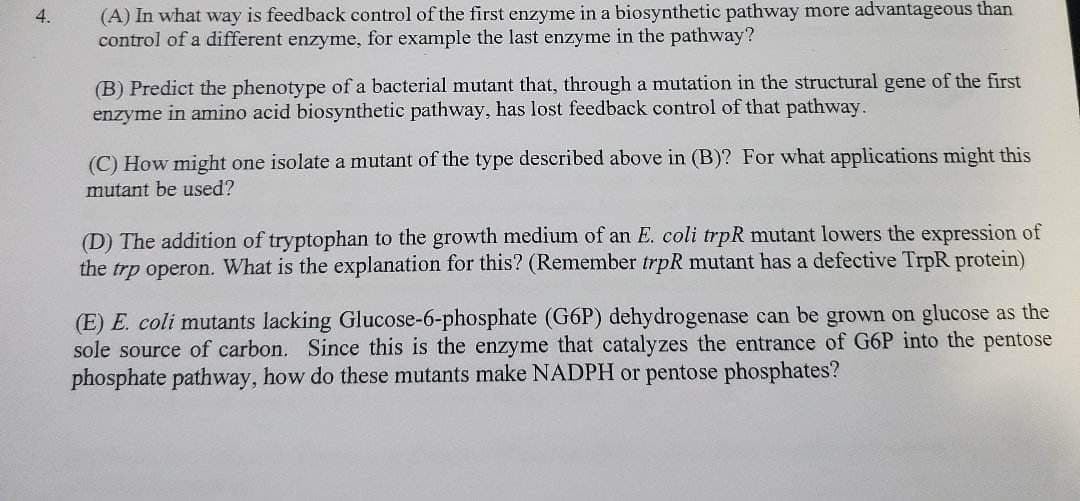 4.
(A) In what way is feedback control of the first enzyme in a biosynthetic pathway more advantageous than
control of a different enzyme, for example the last enzyme in the pathway?
(B) Predict the phenotype of a bacterial mutant that, through a mutation in the structural gene of the first
enzyme in amino acid biosynthetic pathway, has lost feedback control of that pathway.
(C) How might one isolate a mutant of the type described above in (B)? For what applications might this
mutant be used?
(D) The addition of tryptophan to the growth medium of an E. coli trpR mutant lowers the expression of
the trp operon. What is the explanation for this? (Remember trpR mutant has a defective TrpR protein)
(E) E. coli mutants lacking Glucose-6-phosphate (G6P) dehydrogenase can be grown on glucose as the
sole source of carbon. Since this is the enzyme that catalyzes the entrance of G6P into the pentose
phosphate pathway, how do these mutants make NADPH or pentose phosphates?