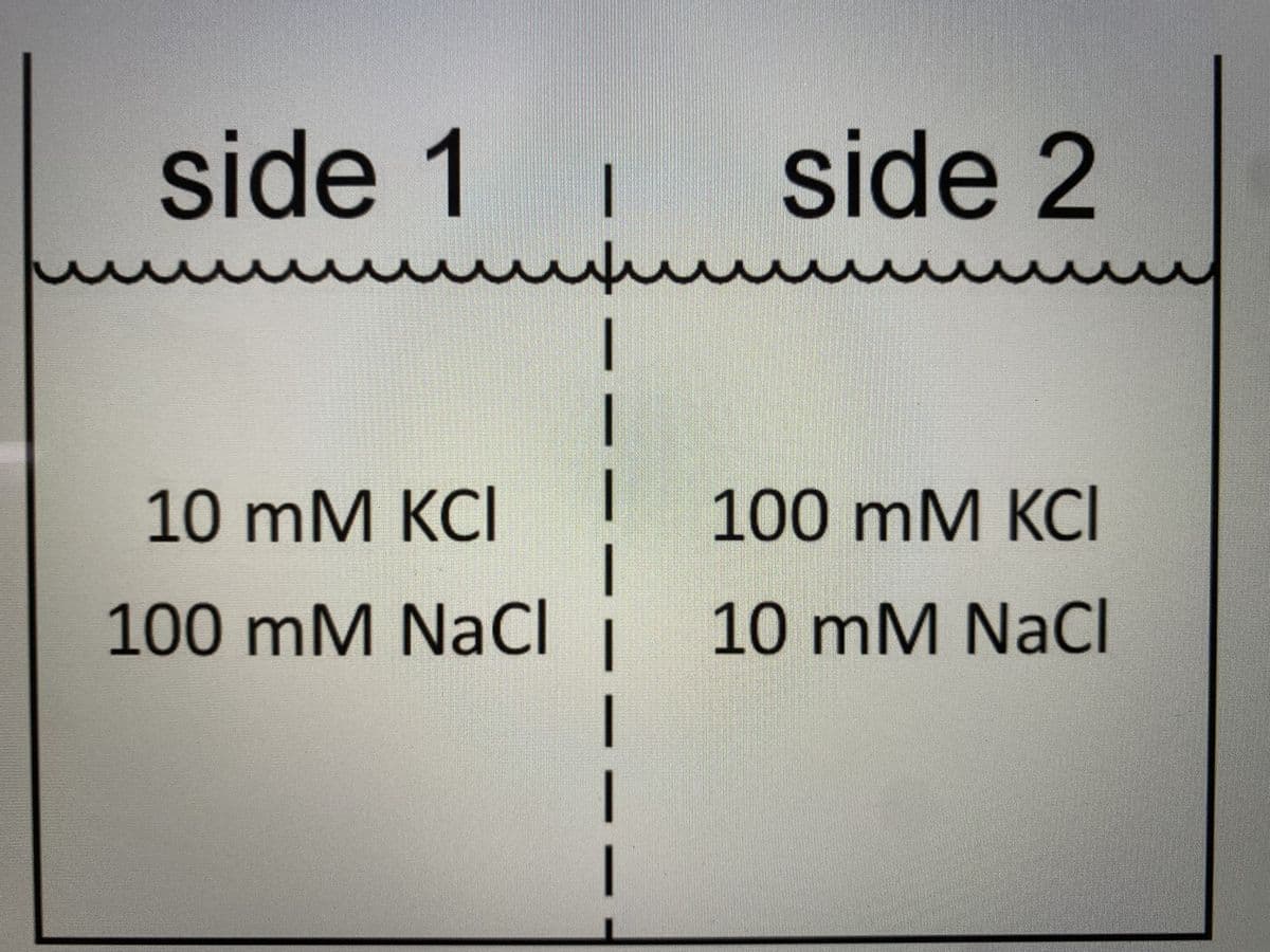 side 1
ли
uu
u
10 mM KCI
100 mM
سلند
NaCl
side 2
u uu
100 mM KCI
10 mM NaCl