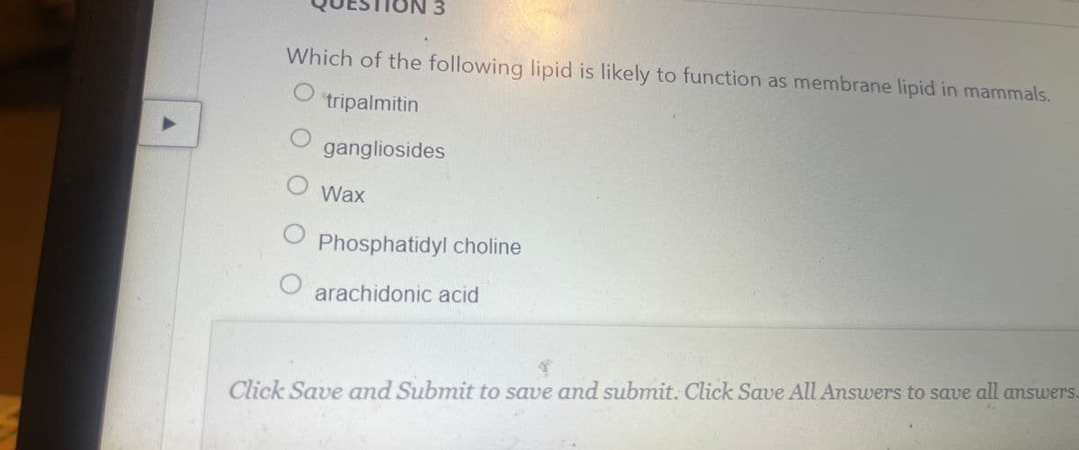 N 3
13
Which of the following lipid is likely to function as membrane lipid in mammals.
O
tripalmitin
gangliosides
Wax
O
Phosphatidyl choline
arachidonic acid
+
Click Save and Submit to save and submit. Click Save All Answers to save all answers