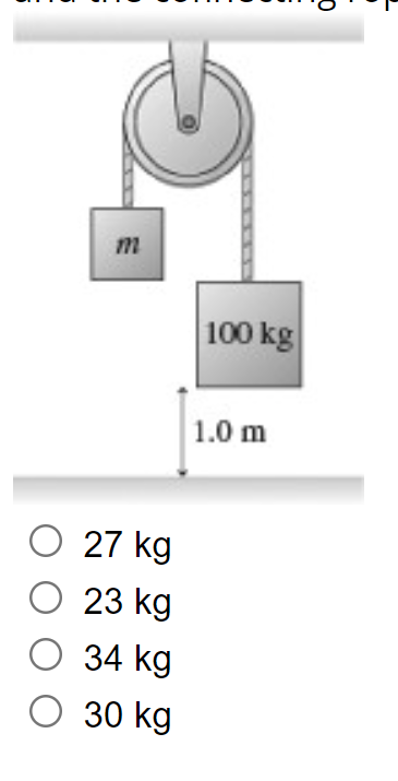 m
|100 kg
1.0 m
27 kg
О 23 kg
О 34 kg
О 30 kg
