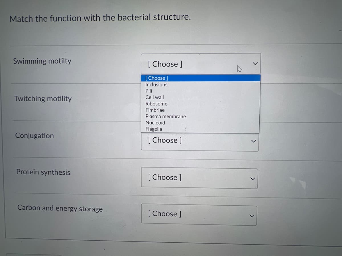 Match the function with the bacterial structure.
Swimming motilty
Twitching motility
Conjugation
Protein synthesis
Carbon and energy storage
[Choose ]
[Choose]
Inclusions
Pili
Cell wall
Ribosome
Fimbriae
Plasma membrane
Nucleoid
Flagella
[Choose ]
[Choose ]
[Choose ]
>