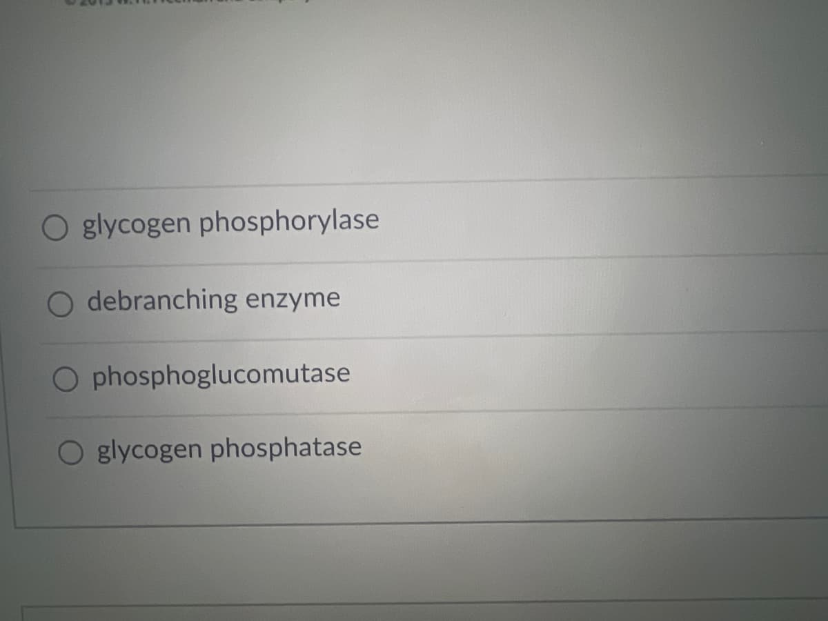 O glycogen phosphorylase
Odebranching enzyme
O phosphoglucomutase
O glycogen phosphatase