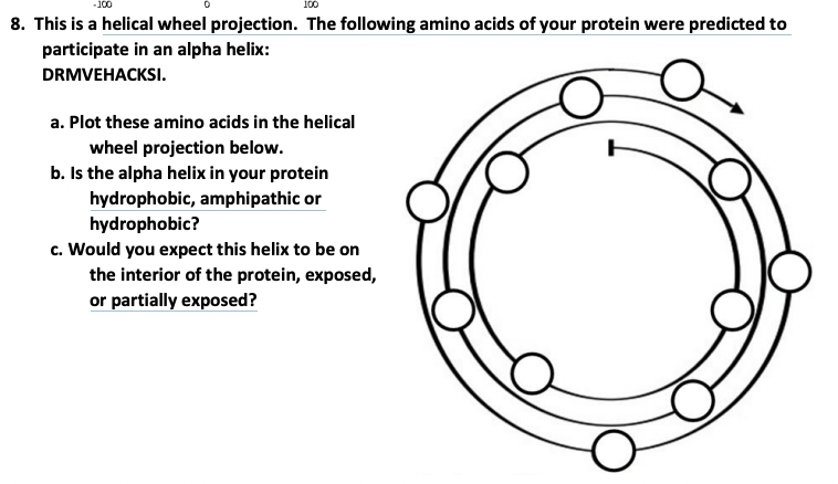 -100
100
8. This is a helical wheel projection. The following amino acids of your protein were predicted to
participate in an alpha helix:
DRMVEHACKSI.
a. Plot these amino acids in the helical
wheel projection below.
b. Is the alpha helix in your protein
hydrophobic, amphipathic or
hydrophobic?
c. Would you expect this helix to be on
the interior of the protein, exposed,
or partially exposed?