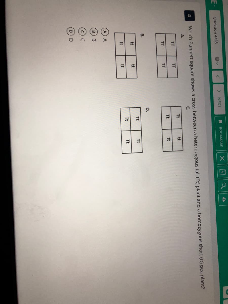 A BOOKMARK
E-
Question 4/28
NEXT
Which Punnett square shows a cross between a heterozygous tall (Tt) plant and a homozygous short (tt) pea plant?
C.
A.
Tt
tt
TT
TT
Tt
tt
TT
TT
D.
В.
Tt
Tt
tt
tt
Tt
Tt
tt
tt
C
DD
