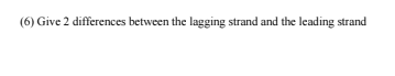 (6) Give 2 differences between the lagging strand and the leading strand