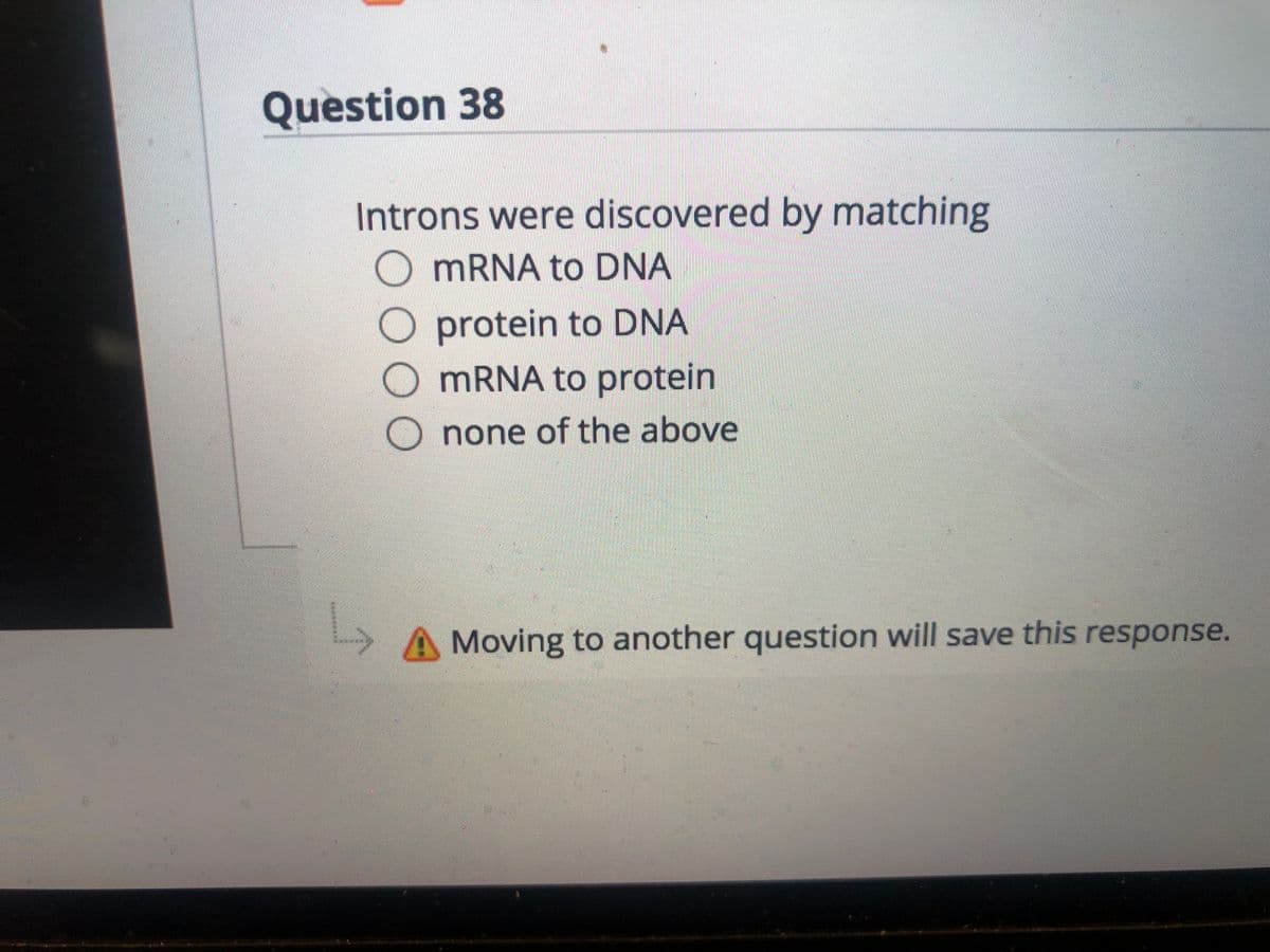 Question 38
Introns were discovered by matching
O MRNA to DNA
protein to DNA
MRNA to protein
none of the above
A Moving to another question will save this response.
DO00
