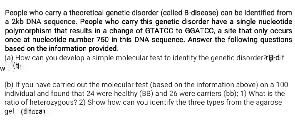 People who carry a theoretical genetic disorder (called B-disease) can be identified from
a 2kb DNA sequence. People who carry this genetic disorder have a single nucleotide
polymorphism that results in a change of GTATCC to GGATCC, a site that only occurs
once at nucleotide number 750 in this DNA sequence. Answer the following questions
based on the information provided.
(a) How can you develop a simple molecular test to identify the genetic disorder?r B-dif
w. (41
(b) If you have carried out the molecular test (based on the information above) on a 100
individual and found that 24 were healthy (BB) and 26 were carriers (bb); 1) What is the
ratio of heterozygous? 2) Show how can you identify the three types from the agarose
gel (H focai
