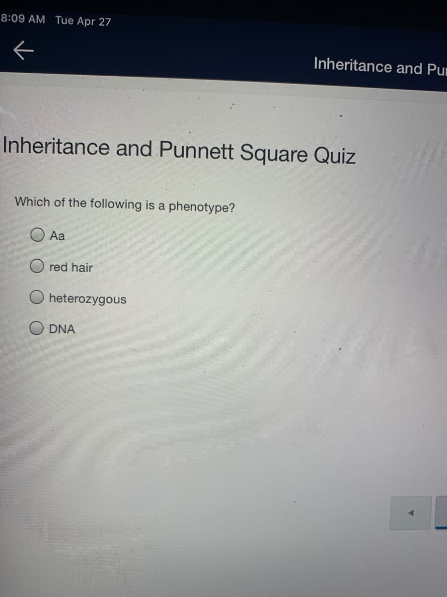8:09 AM Tue Apr 27
Inheritance and Pu
Inheritance and Punnett Square Quiz
Which of the following is a phenotype?
O Aa
red hair
heterozygous
DNA
