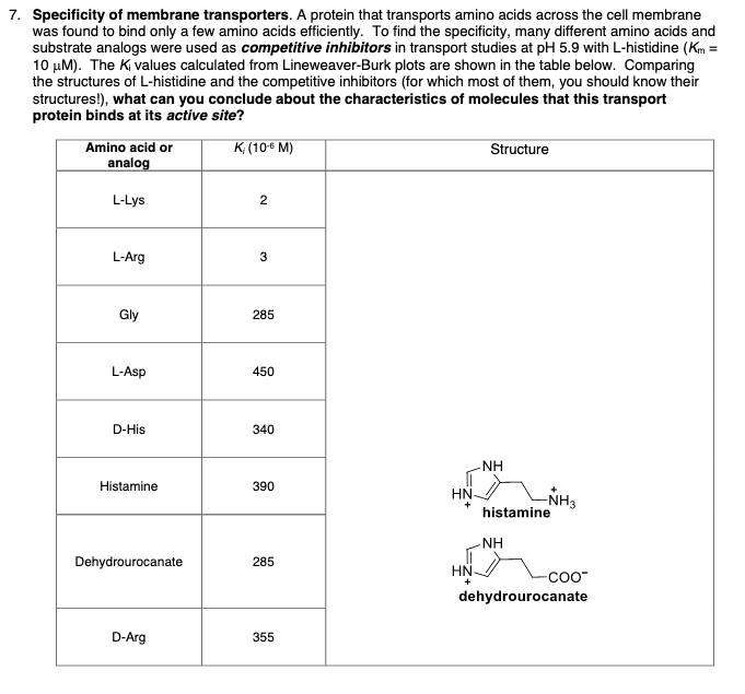 7. Specificity of membrane transporters. A protein that transports amino acids across the cell membrane
was found to bind only a few amino acids efficiently. To find the specificity, many different amino acids and
substrate analogs were used as competitive inhibitors in transport studies at pH 5.9 with L-histidine (Km =
10 μM). The Ki values calculated from Lineweaver-Burk plots are shown in the table below. Comparing
the structures of L-histidine and the competitive inhibitors (for which most of them, you should know their
structures!), what can you conclude about the characteristics of molecules that this transport
protein binds at its active site?
K; (10-€ M)
Amino acid or
analog
L-Lys
L-Arg
Gly
L-Asp
D-His
Histamine
Dehydrourocanate
D-Arg
2
3
285
450
340
390
285
355
HN-
+
HN
+
Structure
-ΝΗ
-NH3
histamine
ΝΗ
-COO™
dehydrourocanate