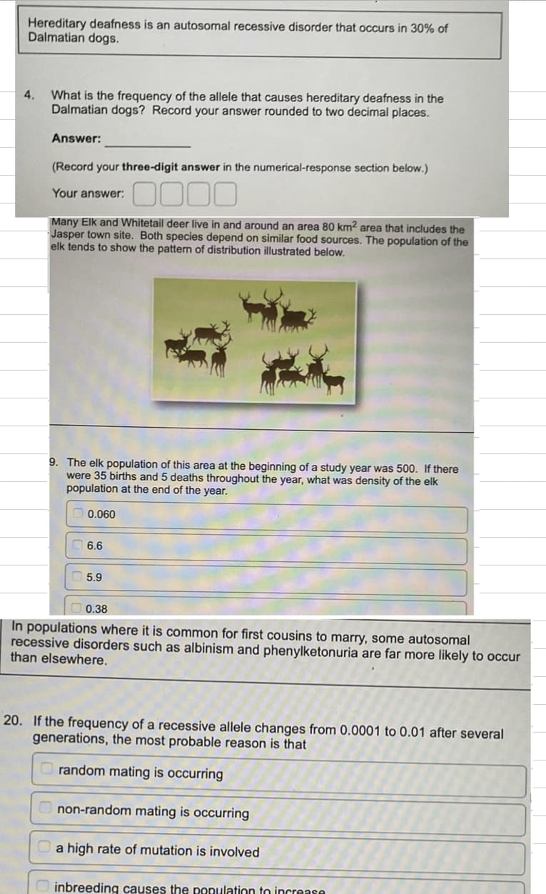 Hereditary deafness is an autosomal recessive disorder that occurs in 30% of
Dalmatian dogs.
4. What is the frequency of the allele that causes hereditary deafness in the
Dalmatian dogs? Record your answer rounded to two decimal places.
Answer:
(Record your three-digit answer in the numerical-response section below.)
Your answer:
0000
Many Elk and Whitetail deer live in and around an area 80 km2 area that includes the
Jasper town site. Both species depend on similar food sources. The population of the
elk tends to show the pattern of distribution illustrated below.
9. The elk population of this area at the beginning of a study year was 500. If there
were 35 births and 5 deaths throughout the year, what was density of the elk
population at the end of the year.
0.060
6.6
5.9
0.38
In populations where it is common for first cousins to marry, some autosomal
recessive disorders such as albinism and phenylketonuria are far more likely to occur
than elsewhere.
20. If the frequency of a recessive allele changes from 0.0001 to 0.01 after several
generations, the most probable reason is that
random mating is occurring
non-random mating is occurring
a high rate of mutation is involved
inbreeding causes the population to increase