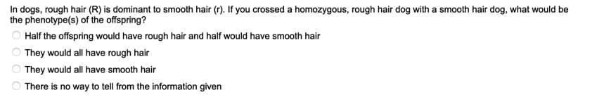 In dogs, rough hair (R) is dominant to smooth hair (r). If you crossed a homozygous, rough hair dog with a smooth hair dog, what would be
the phenotype(s) of the offspring?
Half the offspring would have rough hair and half would have smooth hair
They would all have rough hair
They would all have smooth hair
O There is no way to tell from the information given
