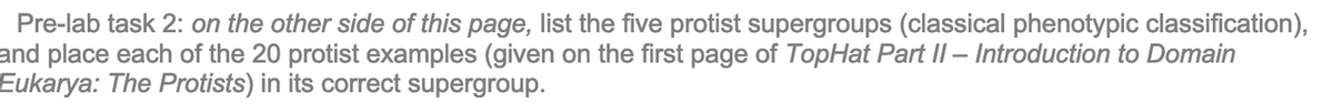 Pre-lab task 2: on the other side of this page, list the five protist supergroups (classical phenotypic classification),
and place each of the 20 protist examples (given on the first page of TopHat Part II - Introduction to Domain
Eukarya: The Protists) in its correct supergroup.