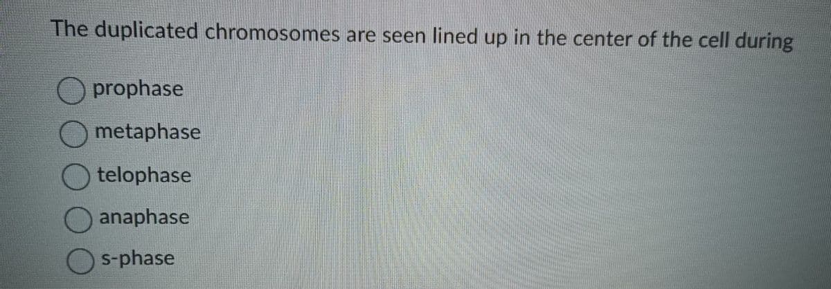 The duplicated chromosomes are seen lined up in the center of the cell during
prophase
metaphase
telophase
anaphase
s-phase