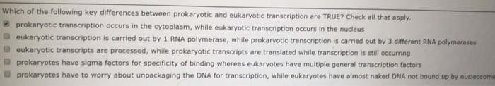 Which of the following key differences between prokaryotic and eukaryotic transcription are TRUE? Check all that apply.
prokaryotic transcription occurs in the cytoplasm, while eukaryotic transcription occurs in the nucleus
eukaryotic transcription is carried out by 1 RNA polymerase, while prokaryotic transcription is carried out by 3 different RNA polymerases
eukaryotic transcripts are processed, while prokaryotic transcripts are translated while transcription is still occurring
prokaryotes have sigma factors for specificity of binding whereas eukaryotes have multiple general transcription factors
prokaryotes have to worry about unpackaging the DNA for transcription, while eukaryotes have almost naked DNA not bound up by nucleosome
