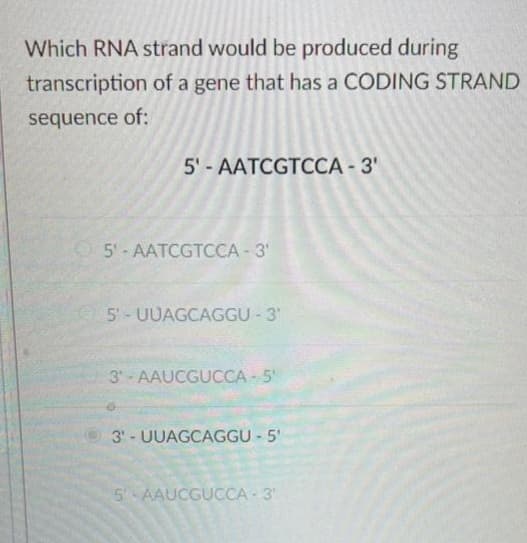 Which RNA strand would be produced during
transcription of a gene that has a CODING STRAND
sequence of:
5'- AATCGTCCA - 3'
5-AATCGTCCA - 3'
5-UUAGCAGGU - 3¹
3-AAUCGUCCA-5'
3-UUAGCAGGU - 5'
5-AAUCGUCCA - 3"