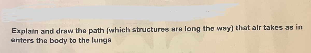 Explain and draw the path (which structures are long the way) that air takes as in
enters the body to the lungs