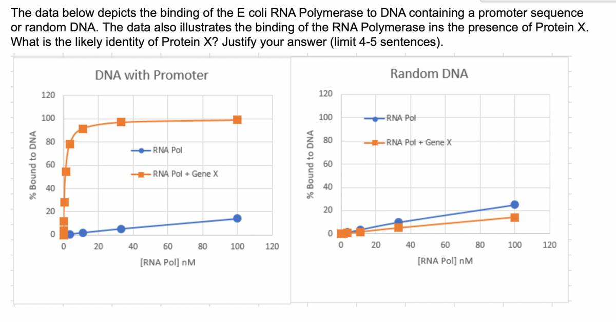 The data below depicts the binding of the E coli RNA Polymerase to DNA containing a promoter sequence
or random DNA. The data also illustrates the binding of the RNA Polymerase ins the presence of Protein X.
What is the likely identity of Protein X? Justify your answer (limit 4-5 sentences).
% Bound to DNA
120
100
80
60
9
20
0
DNA with Promoter
20
40
RNA Pol
RNA Pol + Gene X
60
[RNA Pol] nM
80
100
120
% Bound to DNA
120
100
80
60
40
20
0
0
Random DNA
RNA Pol
RNA Pol + Gene X
20 40
60
[RNA Pol] nM
80
100
120