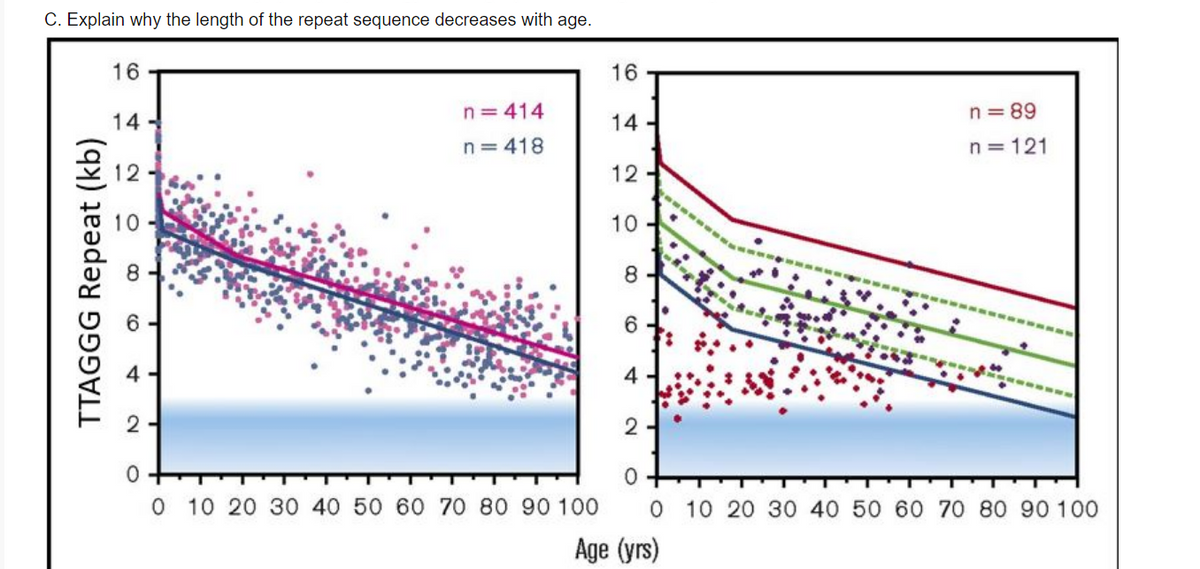 C. Explain why the length of the repeat sequence decreases with age.
TTAGGG Repeat (kb)
16
14-
12
O
CO
2
n=414
n=418
0
0 10 20 30 40 50 60 70 80 90 100
16
14
12
10
8
6
4
2
n = 89
n=121
0
0 10 20 30 40 50 60 70 80 90 100
Age (yrs)