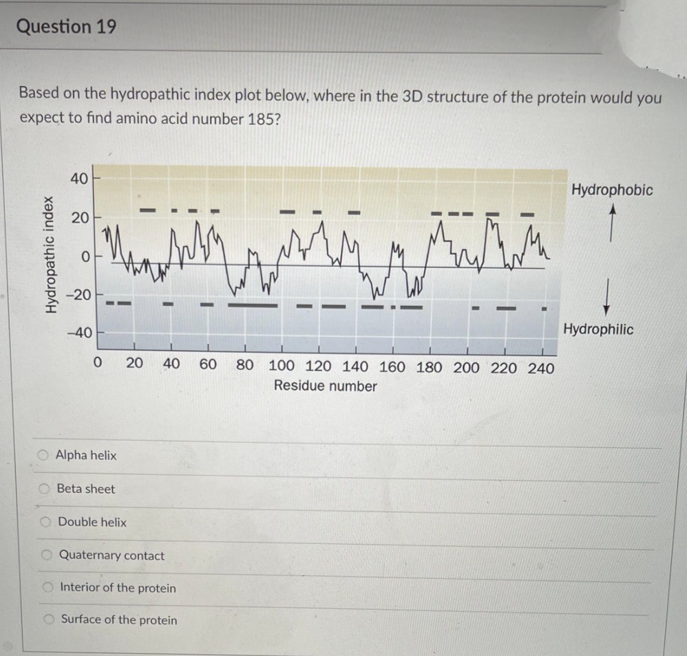 Question 19
Based on the hydropathic index plot below, where in the 3D structure of the protein would you
expect to find amino acid number 185?
40
Hydrophobic
20
-20
-40
Hydrophilic
40
60
80 100 120 140 160 180 200 220 240
Residue number
Alpha helix
Beta sheet
O Double helix
O Quaternary contact
O Interior of the protein
O Surface of the protein
Hydropathic index
20
