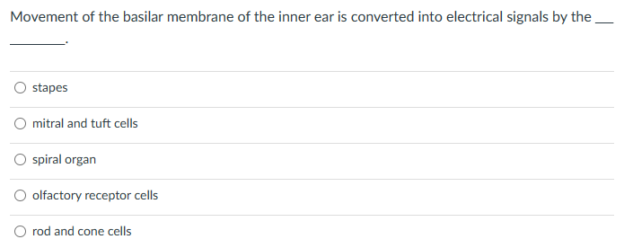 Movement of the basilar membrane of the inner ear is converted into electrical signals by the
stapes
O mitral and tuft cells
spiral organ
olfactory receptor cells
O rod and cone cells