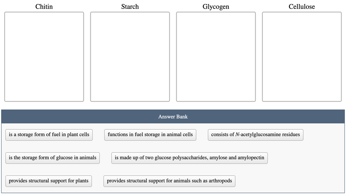 Chitin
is a storage form of fuel in plant cells
is the storage form of glucose in animals
provides structural support for plants
Starch
Answer Bank
functions in fuel storage in animal cells
Glycogen
consists of N-acetylglucosamine residues
is made up of two glucose polysaccharides, amylose and amylopectin
Cellulose
provides structural support for animals such as arthropods