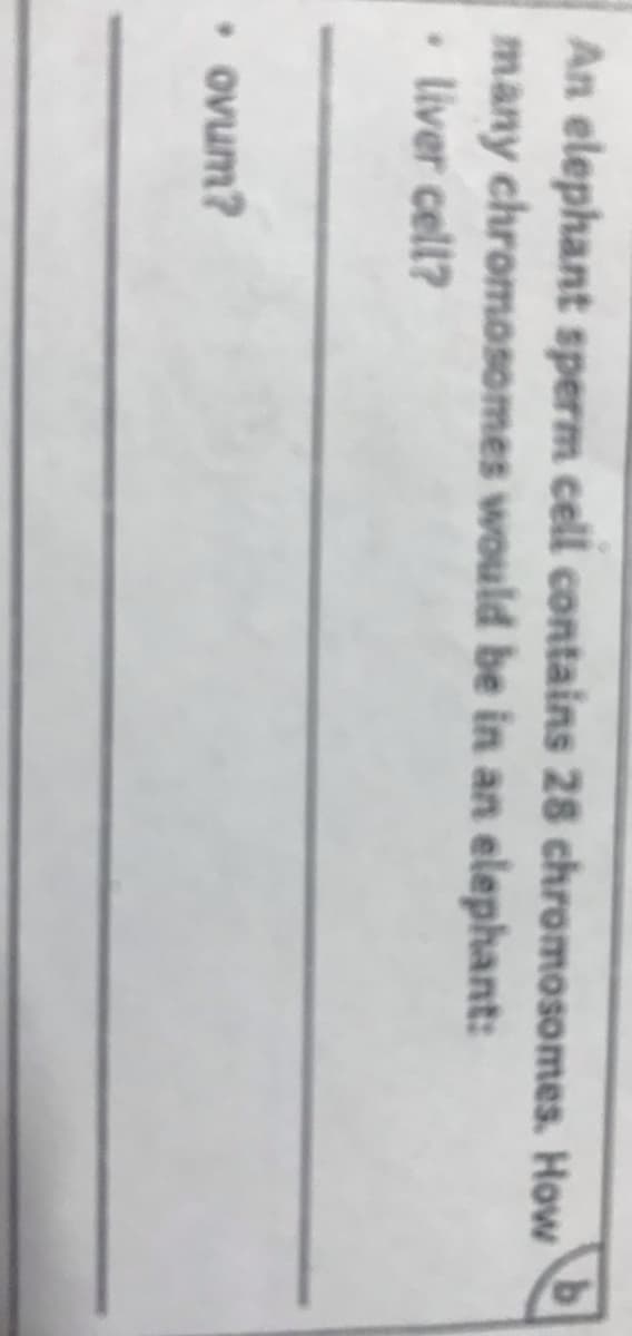 An elephant sperm cell contains 28 chromosomes. How
many chromosomes would be in an elephant:
• liver cell?
• ovum?
