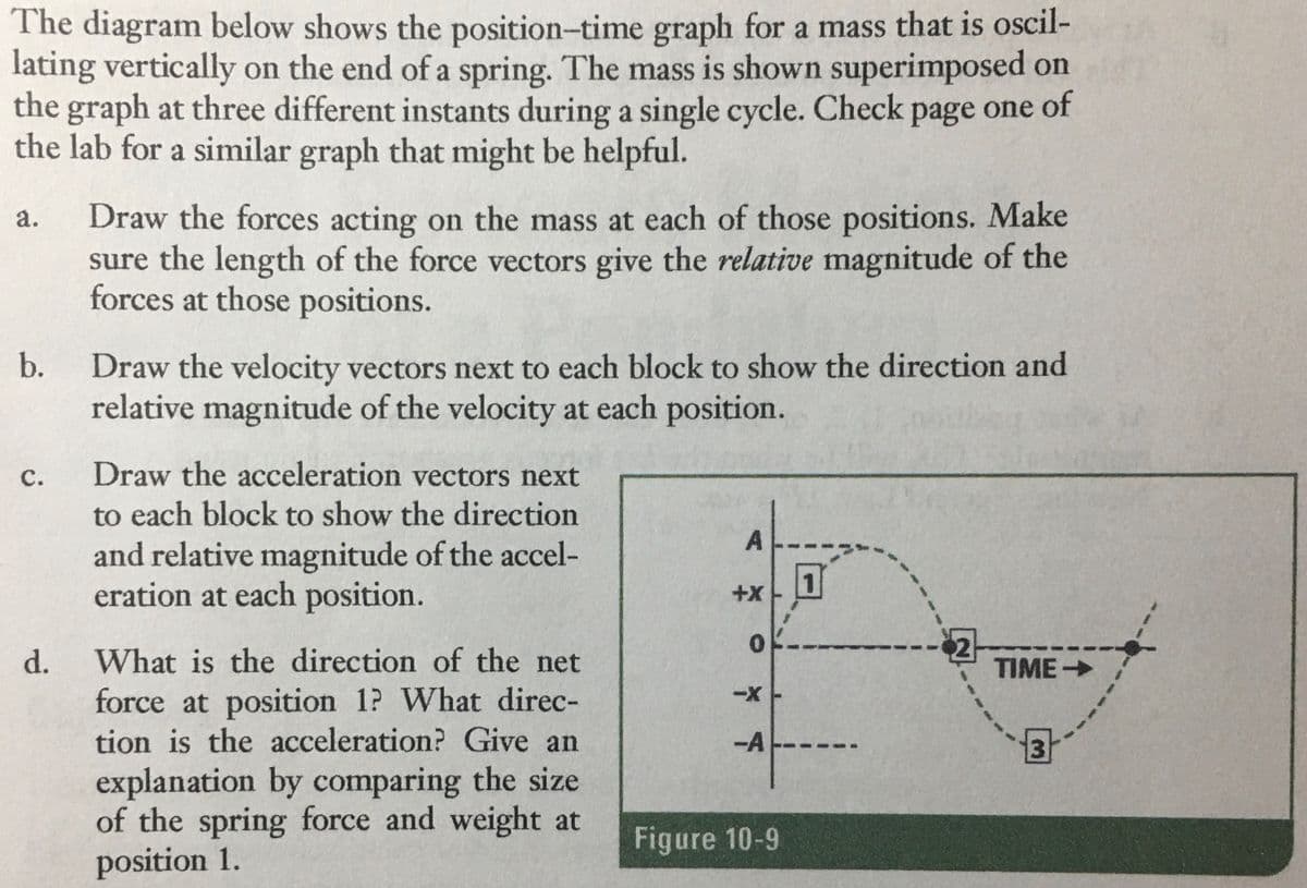 The diagram below shows the position-time graph for a mass that is oscil-
lating vertically on the end of a spring. The mass is shown superimposed on
the graph at three different instants during a single cycle. Check page one of
the lab for a similar graph that might be helpful.
a.
Draw the forces acting on the mass at each of those positions. Make
sure the length of the force vectors give the relative magnitude of the
forces at those positions.
b.
Draw the velocity vectors next to each block to show the direction and
relative magnitude of the velocity at each position.
C.
Draw the acceleration vectors next
to each block to show the direction
and relative magnitude of the accel-
eration at each position.
A
2
TIME-
What is the direction of the net
force at position 1? What direc-
tion is the acceleration? Give an
explanation by comparing the size
of the spring force and weight at
position 1.
d.
+X
0
-X
-A
Figure 10-9
1