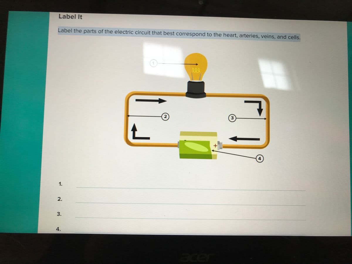 Label It
Label the parts of the electric circuit that best correspond to the heart, arteries, veins, and cells.
2
3
4
1.
2.
3.
4.
ace
