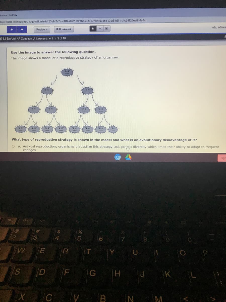 om utn TestNav
tnavclient.psonsvc.net//question/e6df53e9-2e7e-41f0-a022-a36fb463c957/c2363c6e-c38d-4d11-bfc9-ff25ea8b8c0c
tete, edilma
Review -
Bookmark
E S2 Bio Unit 4A Common Unit Assessment/3 of 10
Use the image to answer the following question.
The image shows a model of a reproductive strategy of an organism.
What type of reproductive strategy is shown in the model and what is an evolutionary disadvantage of it?
O A. Asexual reproduction; organisms that utilize this strategy lack gengtic diversity which limits their ability to adapt to frequent
changes.
Sign
E
T.
U
D
F
G H J
KL
CV BN M
CO
