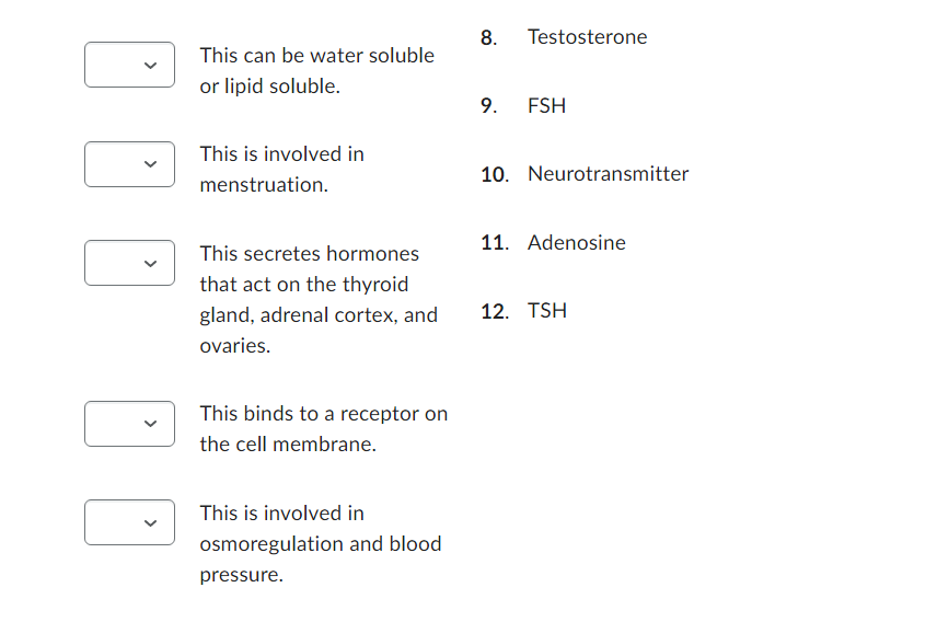 This can be water soluble
or lipid soluble.
This is involved in
menstruation.
This secretes hormones
that act on the thyroid
gland, adrenal cortex, and
ovaries.
This binds to a receptor on
the cell membrane.
This is involved in
osmoregulation and blood
pressure.
8. Testosterone
9. FSH
10. Neurotransmitter
11. Adenosine
12. TSH