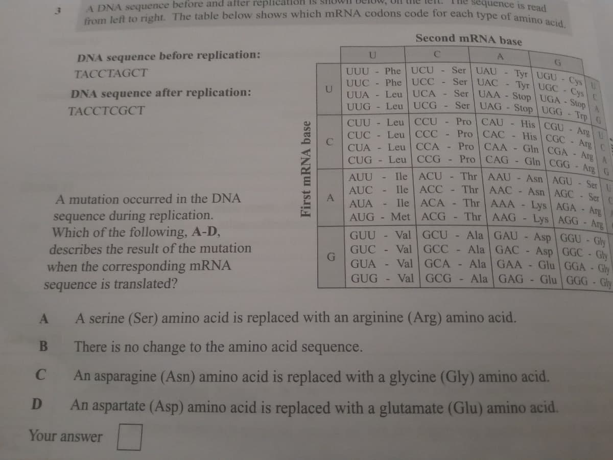 he sequence is read
A DNA sequence before and after replication Is
3
from left to right. The table below shows which mRNA codons code for each type of amino acid
Second mRNA base
A
U
с
G
DNA sequence before replication:
TACCTAGCT
UUU- Phe
UUC - Phe
UCU-
UCC -
U
DNA sequence after replication:
TACCTCGCT
Ser UAU- Tyr UGU-Cys
Ser UAC - Tyr UGC-Cys C
UUA - Leu UCA - Ser UAA- Stop UGA - Stop A
Leu UCG - Ser UAG - Stop UGG - Trp G
Pro CAU - His CGU - Arg U
- Pro CAC- His CGC - Arg C
UUG
CCU
CUU
CUC
Leu
Leu CCC
CUA- Leu CCA- Pro CAA - Gln CGA- Arg A
- Pro CAG - Gln CGG- Arg G
CUG
Leu CCG
AUU
Ile ACU
Thr AAU - Asn AGU- Ser U
AUC
Ile ACC - Thr
-
AGC Ser C
AUA
Ile
AUG- Met
A mutation occurred in the DNA
sequence during replication.
Which of the following, A-D,
describes the result of the mutation
ACA - Thr
ACG - Thr
GCU -
Ala
GCC - Ala
AAC - Asn
AAA -
AAG - Lys
GAU - Asp
GAC - Asp
G
GUU - Val
GUC - Val
GUA Val
Val GCG - Ala GAG-Glu
GCA - Ala
GAA Glu
when the corresponding mRNA
sequence is translated?
GUG
A
A serine (Ser) amino acid is replaced with an arginine (Arg) amino acid.
B
There is no change to the amino acid sequence.
An asparagine (Asn) amino acid is replaced with a glycine (Gly) amino acid.
An aspartate (Asp) amino acid is replaced with a glutamate (Glu) amino acid.
D
Your answer
First mRNA base
A
Lys AGA- Arg
AGG-
Arg
GGU - Gly
GGC-Gly
GGA - Gly
GGG - Gly