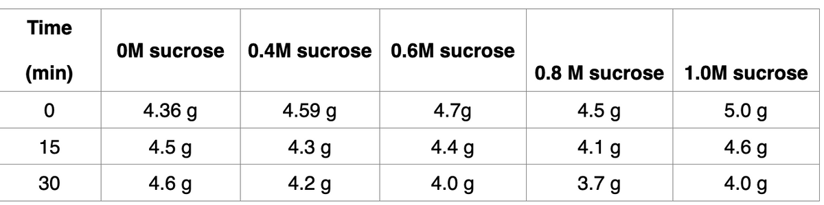 Time
1.0M sucrose
0.4M sucrose 0.6M sucrose
0.8 M sucrose
OM sucrose
(min)
4.5 g
5.0 g
4.59 g
4.7g
4.36 g
4.6 g
4.1 g
4.4 g
4.3 g
15
4.5 g
3.7 g
4.0 g
4.0 g
4.6 g
4.2 g
30
