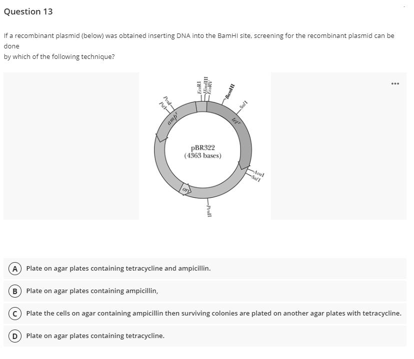 Question 13
If a recombinant plasmid (below) was obtained inserting DNA into the BamHI site, screening for the recombinant plasmid can be
done
by which of the following technique?
A) Plate on agar plates containing tetracycline and ampicillin.
(B) Plate on agar plates containing ampicillin,
C) Plate the cells on agar containing ampicillin then surviving colonies are plated on another agar plates with tetracycline.
D) Plate on agar plates containing tetracycline.
Pal
Pord-
ampr
EcoRI
ПРИ
Ano
pBR322
(4363 bases)
Prull
BamHI
Sall
let"
Aval
-Sall