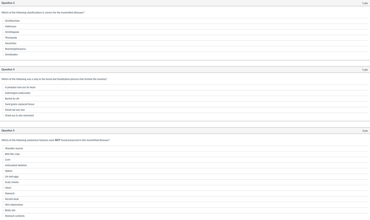 Question 3
Which of the following classifications is correct for the mummified dinosaur?
Ornithischian
Hadrosaur
Ornithopoda
Theropoda
Saurichian
Brachylophosaurus
☐ Ornithodira
Question 4
Which of the following was a step in the burial and fossilization process that formed the mummy?
A predator tore out its heart
Submerged underwater
Buried by silt
Sand grains replaced tissue
Distal tail was lost
Dried out & skin stretched
Question 5
Which of the following anatomical features were NOT found preserved in this mummified dinosaur?
Shoulder muscle
Bird-like crop
Liver
Articulated skeleton
Spleen
Un-laid eggs
Scaly cheeks
Heart
Stomach
Keratin beak
Skin impressions
Body size
Stomach contents
1 pts
1 pts
3 pts