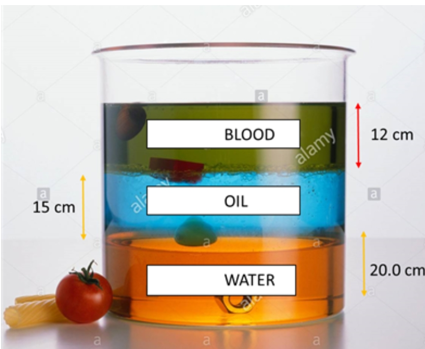 la
BLOOD
12 cm
alamy
15 cm
al
OIL
a
WATER
20.0 cm
a
a
a
