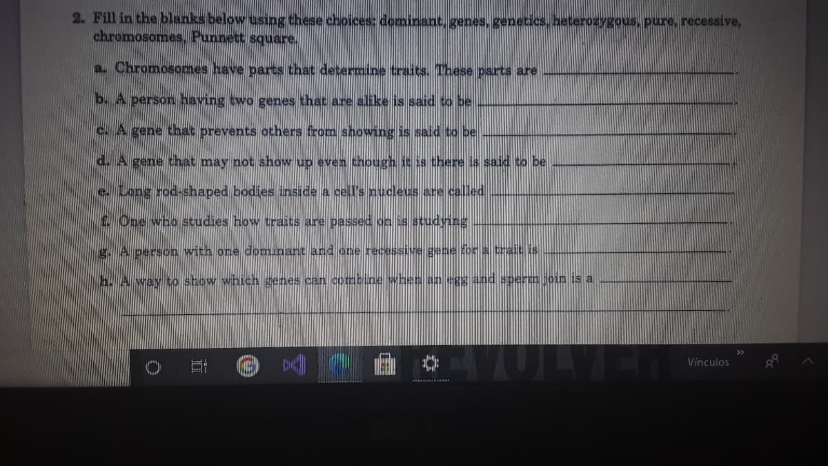 2. Fill in the blanks below using these choices: dominant, genes, genetics, heterozygous, pure, recessive,
chromosomes, Punnett square.
a. Chromosomes have parts that determine traits. These parts are
b. A person having two genes that are alike is said to be
C. A gene that prevents others from showing is said to be
d. A gene that may not show up even though it is there is said to be
e. Long rod-shaped bodies inside a cell's nucleus are called
1. One who studies how traits are passed on is studying
g. A person with one dominant and one recessive gene for a rait is
h. A way to show whichgenes can combine when an egg and sperm join is a
Vínculos
