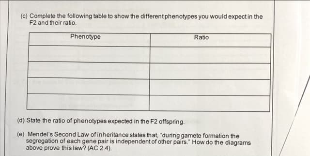 (c) Complete the following table to show the differentphenotypes you would expect in the
F2 and their ratio.
Phenotype
Ratio
(d) State the ratio of phenotypes expected in the F2 offspring.
(e) Mendel's Second Law of inheritance states that, "during gamete formation the
segregation of each gene pair is independent of other pairs." How do the diagrams
above prove this law? (AC 2.4).
