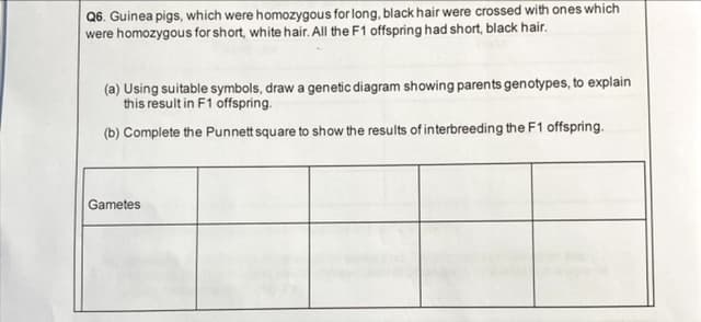 Q6. Guinea pigs, which were homozygous for long, black hair were crossed with ones which
were homozygous for short, white hair. All the F1 offspring had short, black hair.
(a) Using suitable symbols, draw a genetic diagram showing parents genotypes, to explain
this result in F1 offspring.
(b) Complete the Punnett square to show the results of interbreeding the F1 offspring.
Gametes
