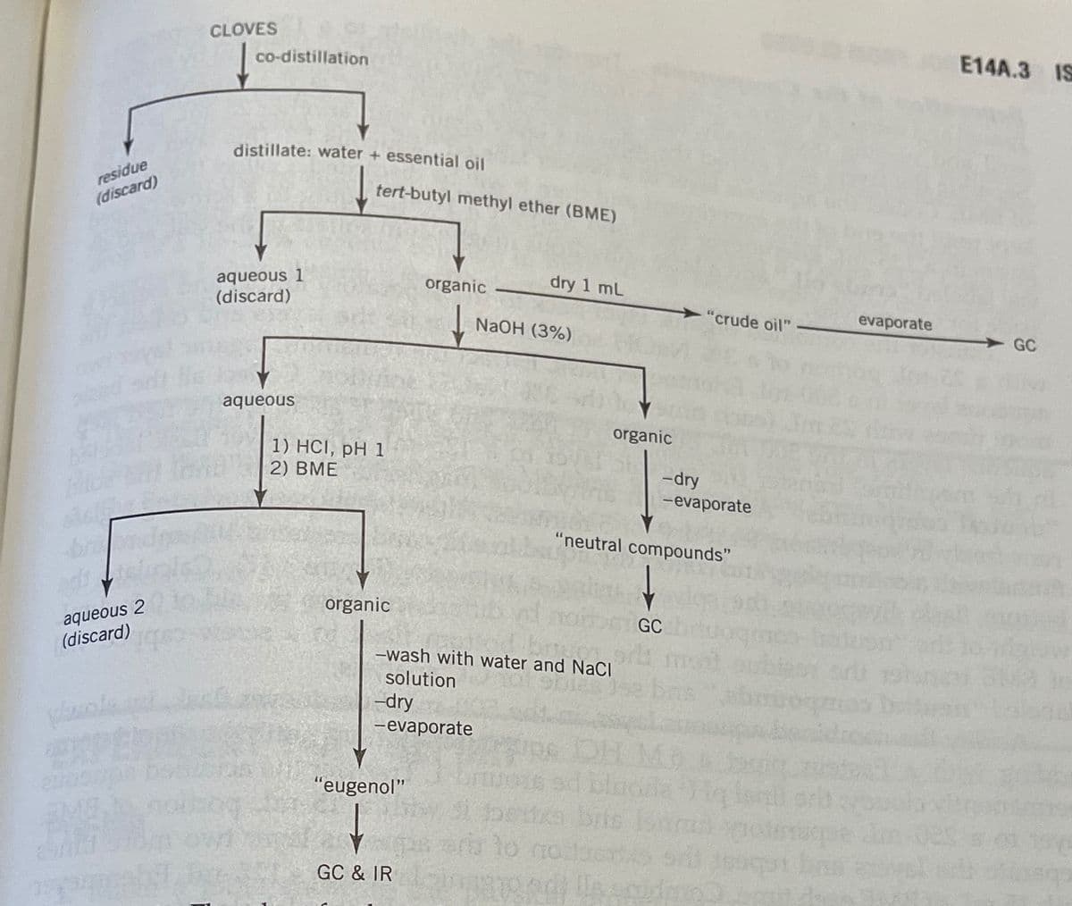 CLOVES
co-distillation
E14A.3 IS
distillate: water + essential oil
residue
tert-butyl methyl ether (BME)
(discard)
aqueous 1
(discard)
organic
dry 1 mL
NaOH (3%)
"crude oil" -
evaporate
GC
aqueous
organic
1) HCI, pH 1
2) BME
-dry
-evaporate
"neutral compounds"
organic
aqueous 2
(discard)
GC
-wash with water and NaCI
solution
-dry
-evaporate
blaods
1beta brts
aru lo nobetis sr
"eugenol"
GC & IR
