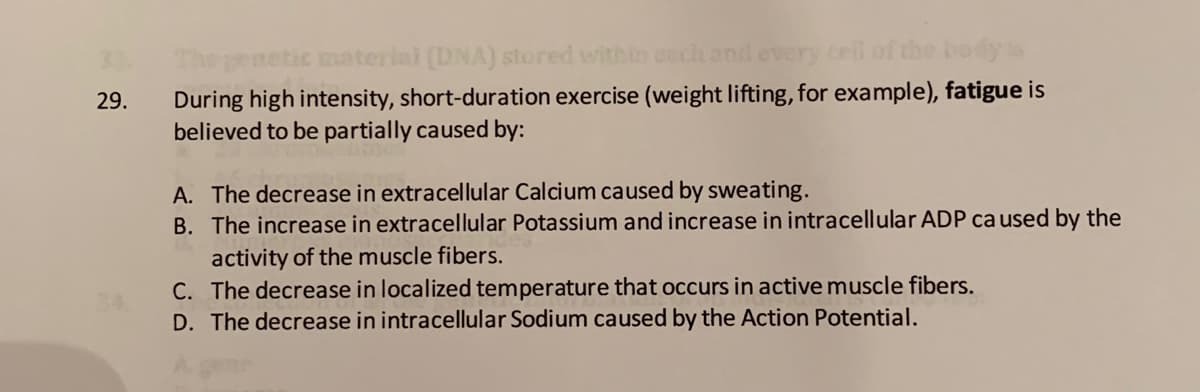 material (DNA) stored within cach and
dys
During high intensity, short-duration exercise (weight lifting, for example), fatigue is
believed to be partially caused by:
29.
A. The decrease in extracellular Calcium caused by sweating.
B. The increase in extracellular Potassium and increase in intracellular ADP ca used by the
activity of the muscle fibers.
C. The decrease in localized temperature that occurs in active muscle fibers.
D. The decrease in intracellular Sodium caused by the Action Potential.
